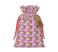 Bolsa de Navidad con diseño de perro Pomerania de dibujos animados, 1 unidad, con cordón para todos los adultos para regalar Halloween