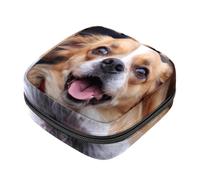 Bolsa de período, bolsa de almacenamiento de servilletas sanitarias, soporte para tampones para bolso, H39b6va0amt, 4.7x6.6x6.6 in, Classic