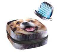 Bolsa de período, bolsa de almacenamiento de servilletas sanitarias, soporte para tampones para monedero, Z24n6oz7eic, 4.7x6.6x6.6 in, Moderno