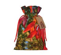 Bolsa de regalo resistente con diseño de hojas rojas y frutas otoñales de 4.7 x 6.9 pulgadas, bolsa de regalo moderna y práctica para necesidades diarias, 1 unidad