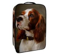 Bolsa de Zapatos de Viaje,Bolsa de Zapatos de Almacenamiento Organizador portátil Impermeable,Lindo Perro Cavalier King Charles Spaniel