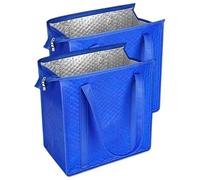 Bolsa isotérmica aislada - 2 unidades Reutilizable Bolsa de Transporte Grande con Cremallera | Bolsa Térmica Reutilizable Con Cremallera | 13 X 12 X 7 Pulgadas - Para Alimentos Calientes Y Fríos