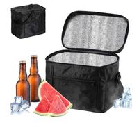 Bolsa Nevera Plegable, 10L Bolsas Térmicas para Comida, con Asas, Cierre y Tapa, Saco Isotermica, Nevera Portatil para Picnic, Barbacoa, Reutilizable