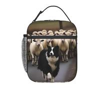 Bolsa para el almuerzo con diseño de oveja pastora Border Collie, fiambrera para hombres y mujeres, bolsa térmica reutilizable para el almuerzo, nevera pequeña a prueba de fugas con gran capacidad