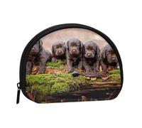 Bolsa pequeña para Guardar Toallas sanitarias, Monedero para cosméticos de Mujer, Cachorros de Labrador, Cachorros Marrones, Familia pequeña