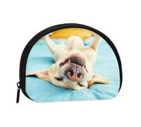 Bolsa pequeña para Guardar Toallas sanitarias y Maquillaje de Labrador durmiendo, Monedero para cosméticos de Mujer