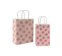 Bolsa Regalo 10pcs Foral Fruit Paper Bag With Handle Multifunction Christams Birthday Party Favor Decoration Packing Bags(Color6,21x13x8cm)