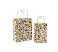 Bolsa Regalo 10pcs Foral Fruit Paper Bag With Handle Multifunction Christams Birthday Party Favor Decoration Packing Bags(Color2,27x21x11cm)