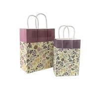 Bolsa Regalo 10pcs Foral Fruit Paper Bag With Handle Multifunction Christams Birthday Party Favor Decoration Packing Bags(Color22,21x13x8cm)