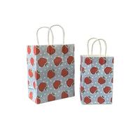 Bolsa Regalo 10pcs Foral Fruit Paper Bag With Handle Multifunction Christams Birthday Party Favor Decoration Packing Bags(Color5,21x13x8cm)