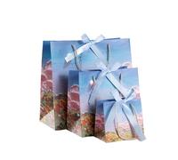 Bolsa Regalo 2pcs Holiday Party Paper Bag With Handle Handbag Teachers' Day Wedding Guest Candy Colored Packaging(Blue,M 25X22X12cm)