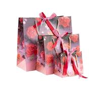 Bolsa Regalo 2pcs Holiday Party Paper Bag With Handle Handbag Teachers' Day Wedding Guest Candy Colored Packaging(Red Rose,M 25X22X12cm)