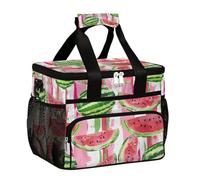 Bolsa térmica grande de camping para picnic, fruta de verano, sandía, acuarela dulce, patrón de dibujos animados, plegable, portátil, bolsa de almuerzo y lonchera para hombres y mujeres, 20 L