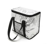 Bolsa térmica multiusos aislada para alimentos y bebidas, ideal para camping, picnics y viajes de un día, elige entre tamaños de 16 L o 26 L (negro 8 L)