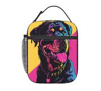 Bolsa Termica Perro Bolso Nevera Portátil Porta Alimentos Trabajo Bolsa Comida Para Escuela Viajes Camping