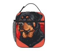 Bolsa Termica Perro Porta Alimentos Frescura Bolsa Comida El Almuerzo Bolso Comida Para Work Hombre Y Mujer Escuela