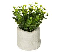 Bolsa vegetal verde cemento viento H15