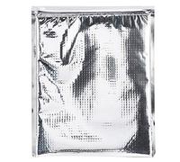 Bolsas aislantes para sándwiches, bolsa térmica de almacenamiento de alimentos para evitar que se estropeen, mantiene tus aperitivos y el almuerzo frescos y frescos(5 unidades/juego), aluminio,35*40cm