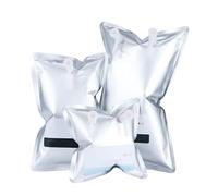 Bolsas de aluminio for muestreo de gases (paquete de 10), resistentes a la luz, con capacidades de 0,5 a 15 l.(10LSingle Valve)