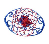 Bolsas de balas de malla con cordón de ajuste, bolsa de malla de baloncesto, bolsa de almacenamiento para equipo de deporte con cordón - bolsas de balón de baloncesto de malla, gran bolsa de globo