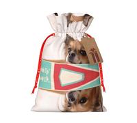 Bolsas de Navidad M - Papillon in the box Print Holiday Drawstring Gift Bags para Navidad, cumpleaños, boda, recuerdos de fiesta