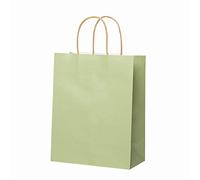 Bolsas de Regalo con Asas, 100 Piezas Bolsas de Papel Bolsas de Fiesta Bolsas de Transporte para Venta al por Menor Almuerzo Cumpleaños Ceremonias de Graduación Aniversarios-L-21x11x27cm(8x4x11in)