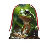 Bolsas de regalo con cordón con estampado de rana y lluvia, para cumpleaños, Navidad, vacaciones, regalos, recuerdos de fiesta