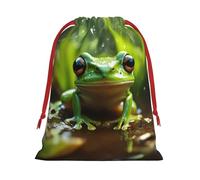 Bolsas de regalo con cordón con estampado de rana y lluvia, para cumpleaños, Navidad, vacaciones, regalos, recuerdos de fiesta