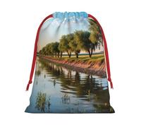 Bolsas de regalo con cordón de varios tamaños con estampado de sauce, bolsas de regalo de tela, para cumpleaños, regalos de vacaciones y mucho más