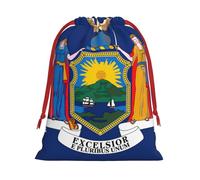 Bolsas de regalo con cordón vibrante con estampado de bandera de Nueva York, colección de bolsas de regalo de cumpleaños, bolsas de regalo reutilizables, bolsa de regalo de Navidad