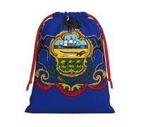 Bolsas de regalo con estampado de bandera del estado de Pensilvania, varios tamaños, bolsas de regalo con cordón para mujeres, Navidad, cumpleaños, reutilizables