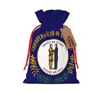 Bolsas de regalo de varios tamaños con estampado de bandera del estado de Kentucky, bolsas de regalo para celebraciones, reutilizables para cumpleaños y eventos especiales