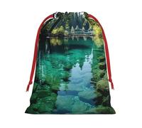 Bolsas de regalo reutilizables multiusos con estampado de lago pacífico, elegantes bolsas de regalo para mujeres, bolsas de regalo de Navidad