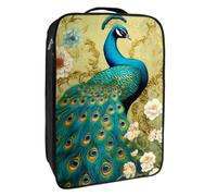 Bolsas de Zapatos para Viajes,Bolsas de Zapatos de Viaje para Embalaje,Bolsa de Viaje de Zapatos,Cola de Pluma de Pavo Real Abstracto