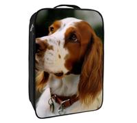 Bolsas de Zapatos para Viajes,Bolsas de Zapatos de Viaje para Embalaje,Bolsa de Viaje de Zapatos,Lindo Perro Cavalier King Charles Spaniel