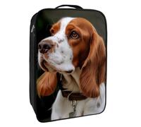 Bolsas de Zapatos para Viajes,Bolsas de Zapatos de Viaje para Embalaje,Bolsa de Viaje de Zapatos,Lindo Perro Cavalier King Charles Spaniel