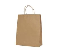 Bolsas Kraft 50 Piezas, Bolsas de Papel con Asas Navidad Baby Shower Bautizo Día de Acción de Gracias Halloween Día de la Madre Bolsas de Regalo Bolsa de Regalo de Compras-3-21x11x27cm(8x4x11in)