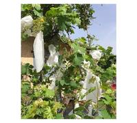Bolsas Protección Fruta con Cordón, Bolsas de Tela no Tejida for Frutas y Verduras, Color Blanco, Varios tamaños, Paquete de 100