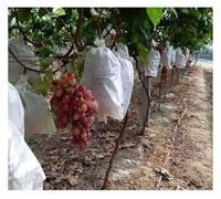 Bolsas Protección Fruta con Cordón, Bolsas Protectoras for Frutas y Verduras (Paquete de 50) en Varios tamaños(20X28CM)