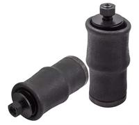 bolsas resorte suspensión Compatible Con Peterbilt Para 200 1993 1994 1995 1996 1997 1998 1999 2000 Bolsa De Fuelle De Resorte De Suspensión Neumática W023587036 1S5-186 2903200 2902454