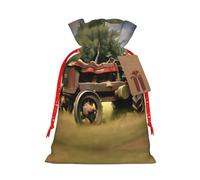 Bolsas reutilizables para todas tus necesidades de regalo para cada ocasión