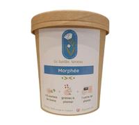 Bolsitas de té Morphee de The Aromatic Garden en tarrinas x12