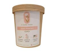 Bolsitas de té navideño alsaciano The Aromatic Garden en tarrinas x12