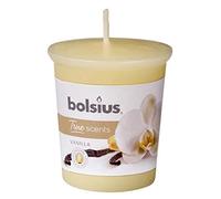 Bolsius True Scents - Moco Votivo - Fragancia Vainilla - Color Crema - Larga duración de 15 Horas - Vela Decorativa - Extractos Naturales - 5,3 x 4,5 cm