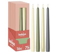 Bolsius Velas Cónicas Lisas - Set de 16 - Nature - Velas Decorativas para el Hogar - Larga Duración - Sin Aroma - Cera Natural de Origen Vegetal - Sin Aceite de Palma