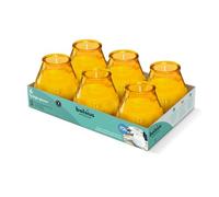 Bolsius - Velas para exteriores - 6 piezas - en vidrio - Ámbar - Tiempo de combustión 70 horas - Sin aceite de palma - Quema limpia - Mecha de algodón - Sin perfume
