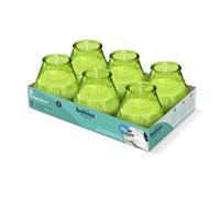 Bolsius - Velas para exteriores - 6 piezas - en vidrio - Limón - Tiempo de combustión 70 horas - Sin aceite de palma - Quema limpia - Mecha de algodón - Sin perfume