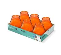 Bolsius Velas para exteriores 6 piezas en vidrio, Naranja, Tiempo de combustión 70 horas, Sin aceite de palma, Quema limpia, Mecha de algodón, Sin perfume