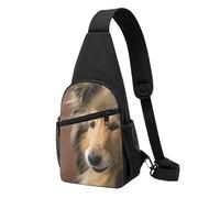 Bolso Bandolera, Bolso Cruzado en el Pecho, Bolso en Diagonal para Viajes, Senderismo, Pecho, Mochila, cinturón, Unisex,Rough Collie Lassie Perros Perros Grandes Y Esponjosos Mascotas