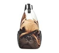 Bolso bandolera con estampado de bulldog francés, para uso diario, mochila de hombro, bolsa de pecho, para viajes al aire libre, casual